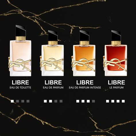 libre intense perfume notes